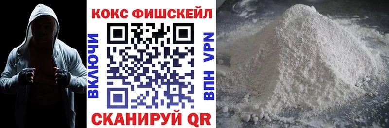 цены наркотик  Чердынь  MEGA tor  Кокаин FishScale 