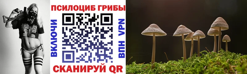 магазин продажи наркотиков  Чердынь  Галлюциногенные грибы ЛСД 